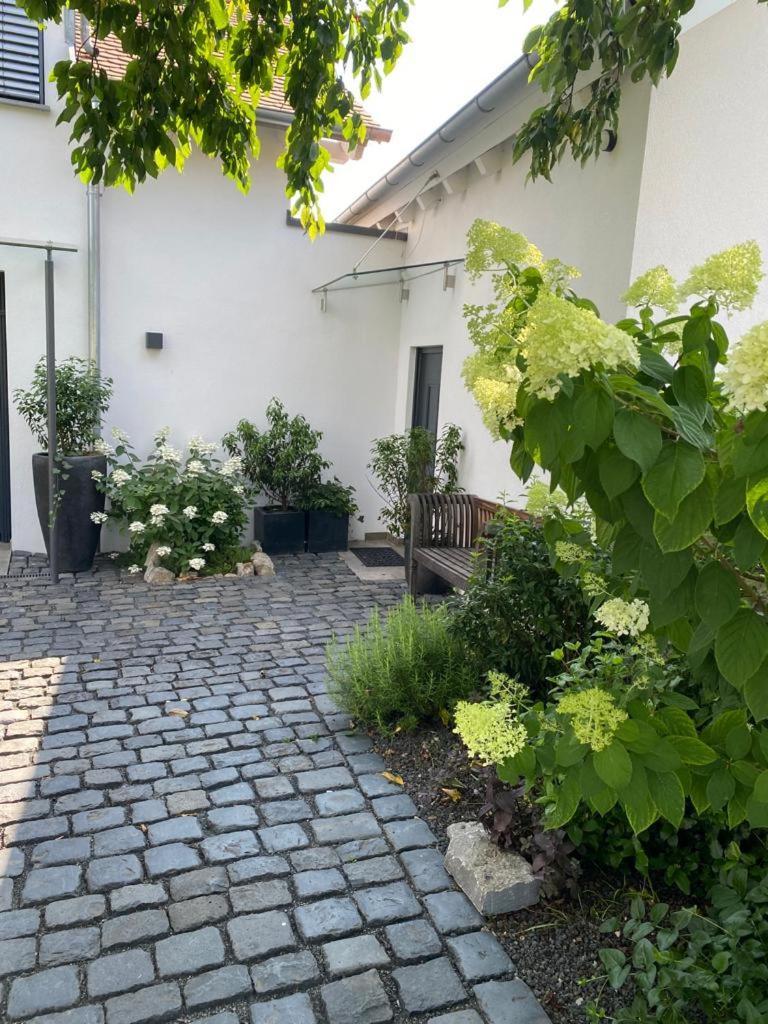 Apartment Colle Divino